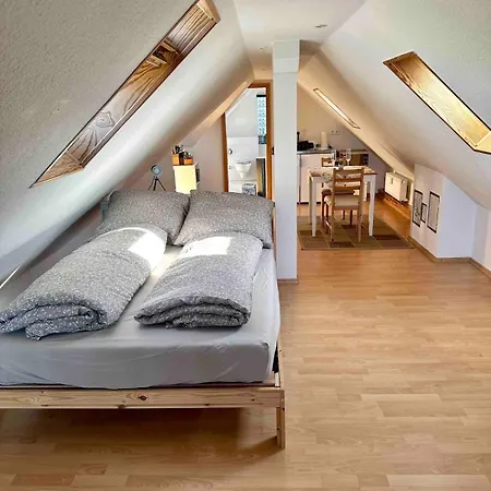 Direkt Am Schwarzwald *