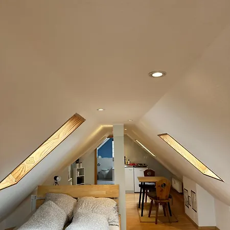 Direkt Am Schwarzwald Apartment Buehl (Rastatt)